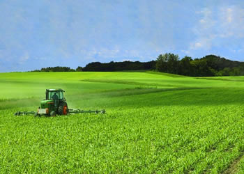 Seguro para el Agro